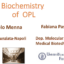 OUTER PLEXIFORM LAYER:BIOCHEMYSTRY (Chapter 4)